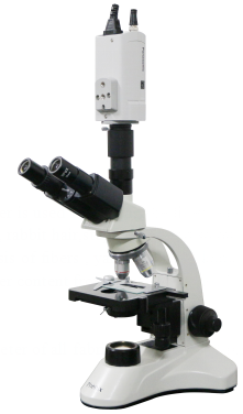 Microscope analyzer